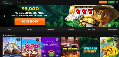 wild cash casino|Wild Casino .